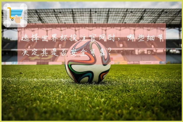 选择世界杯投注官网时,哪些细节决定其是否安全可靠?