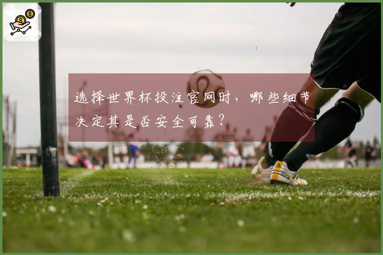 选择世界杯投注官网时，哪些细节决定其是否安全可靠？