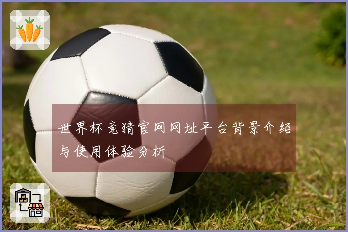 世界杯竞猜官网网址平台背景介绍与使用体验分析