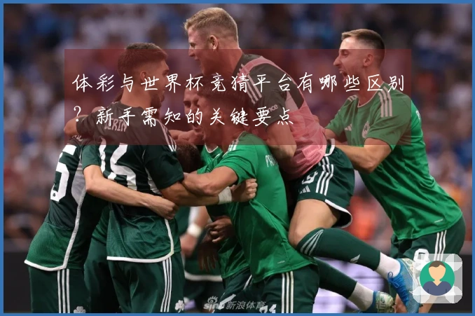 体彩与世界杯竞猜平台有哪些区别？新手需知的关键要点