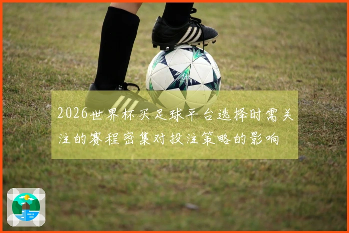 2026世界杯买足球平台选择时需关注的赛程密集对投注策略的影响