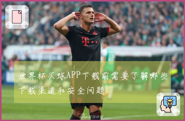 世界杯买球APP下载前需要了解哪些下载渠道和安全问题