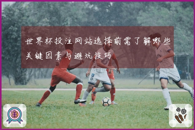 世界杯投注网站选择前需了解哪些关键因素与避坑技巧