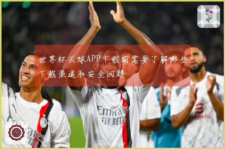 世界杯买球APP下载前需要了解哪些下载渠道和安全问题