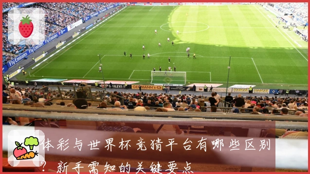 体彩与世界杯竞猜平台有哪些区别?新手需知的关键要点